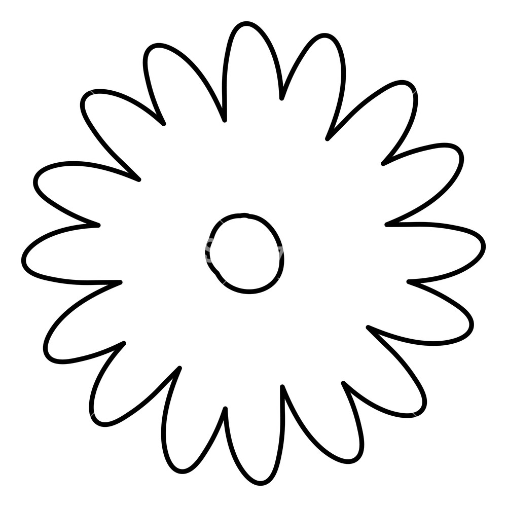 1000x1000 Sketch Contour Of Hand Drawing Daisy Flower With Several Petals