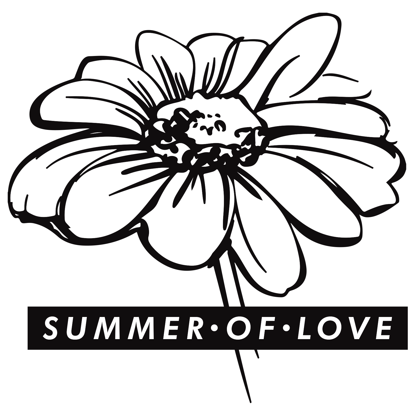 1668x1668 Collection Of Free Daisy Drawing Nature Download On Ui Ex