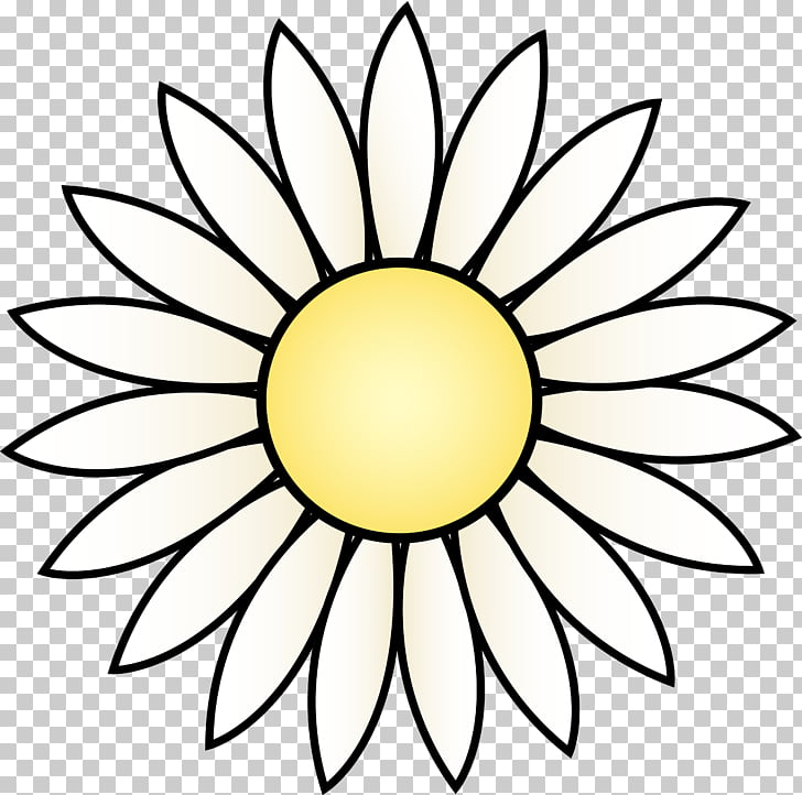 728x722 Common Sunflower Drawing White Black Transparent Daisy S Png