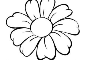 300x210 Drawing Daisy Flowers Flower Drawing Easy Flowers Drawingchallenge