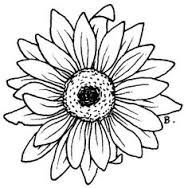 188x188 Image Result For Simple Sunflower Outline Tattooshenna