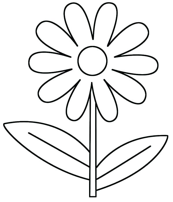 600x700 Daisy Coloring
