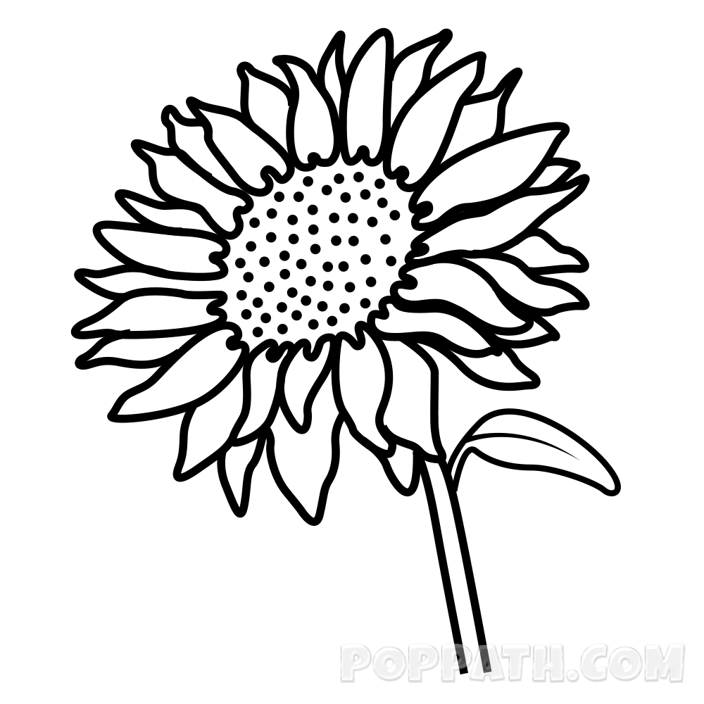 1000x1000 Collection Of Free Outline Drawing Sunflower Download On Ui Ex