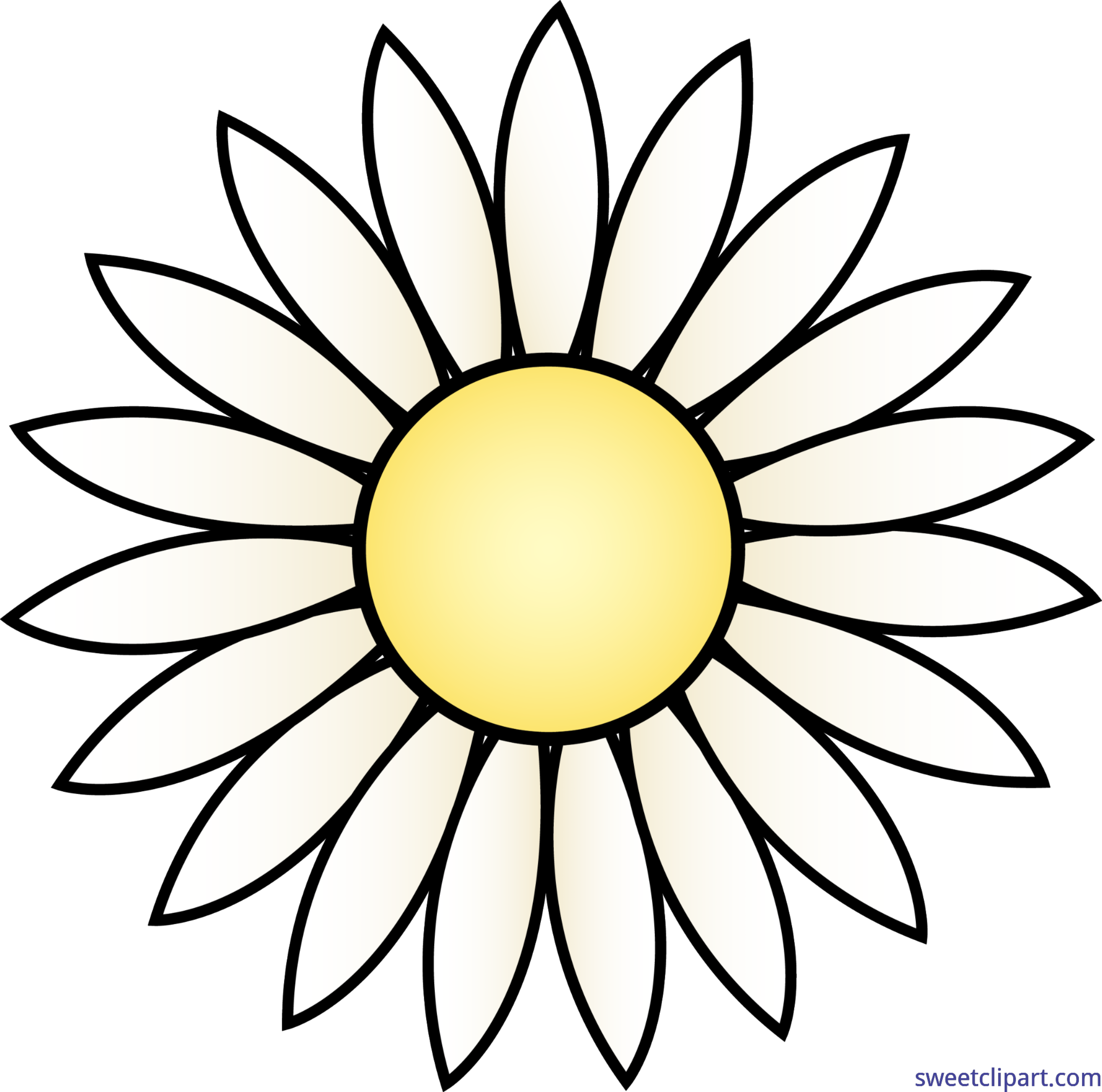 4948x4901 Daisies Clipart Flower Tumblr Frames Illustrations Hd Images