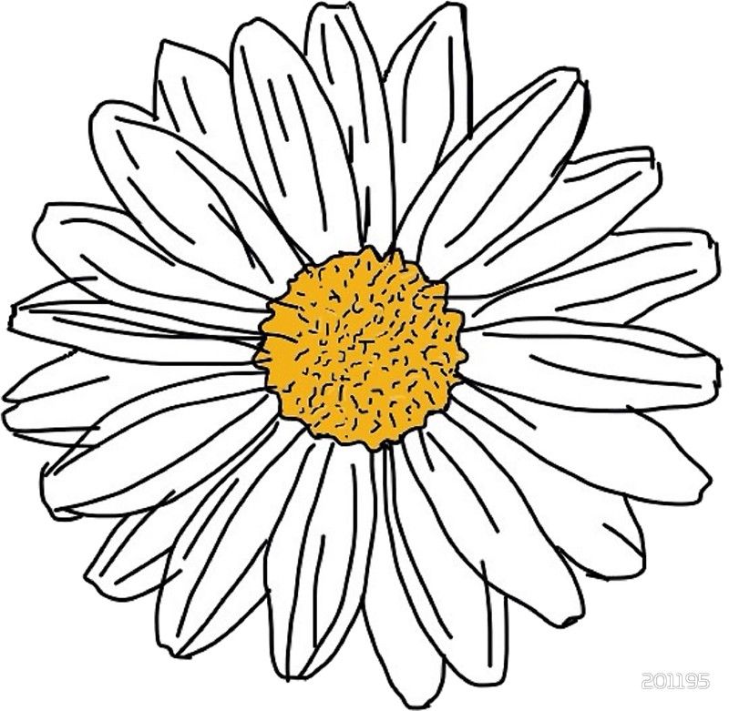 800x781 Daisy' Sticker