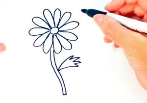 300x210 Tumblr Daisy Drawing