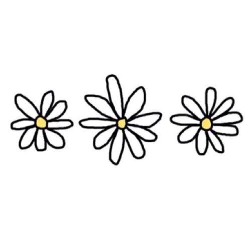 500x453 Flowers Transparent Stuffffff In Tumblr Transparents