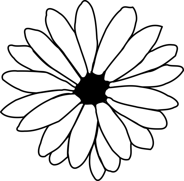 763x750 Daisy Flower Drawing Pictures And Cliparts, Download Free