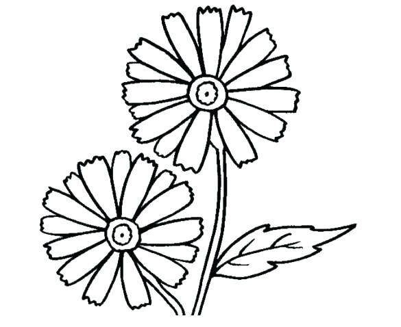 585x478 Flower Coloring Pages Printable Free Daisy Flower Coloring Pages
