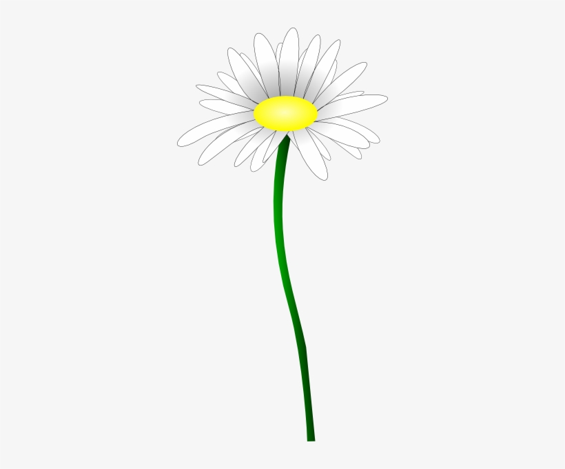 820x680 How To Set Use Daisy Flower Clipart Png Image Transparent Png