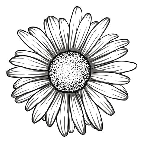 474x474 Related Image Tatuajes Daisy Drawing, Daisy Flower Tattoos