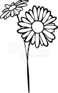 187x299 Daisy Line Art Premium Clipart