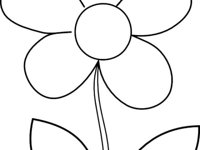 Daisy Line Drawing | Free download on ClipArtMag