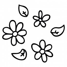 275x275 Line Drawing Daisy Photos And Images Crystalgraphics
