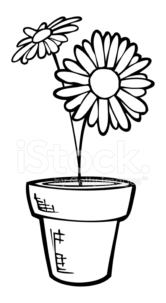 563x1024 Potted Daisy Line Art Stock Vector