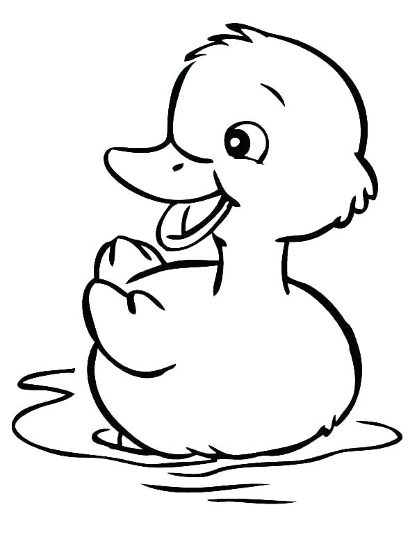 600x776 Baby Duck Drawing