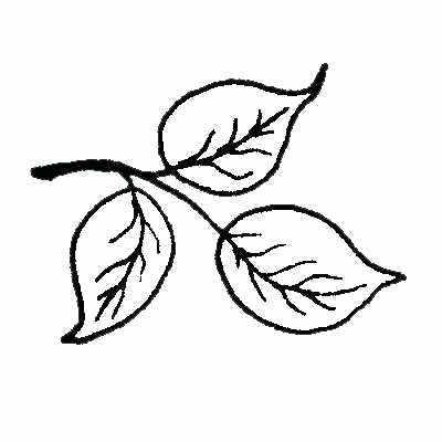 400x400 Purple Daisy Design A Bit Outline Leaf Grape Images Staranovalja