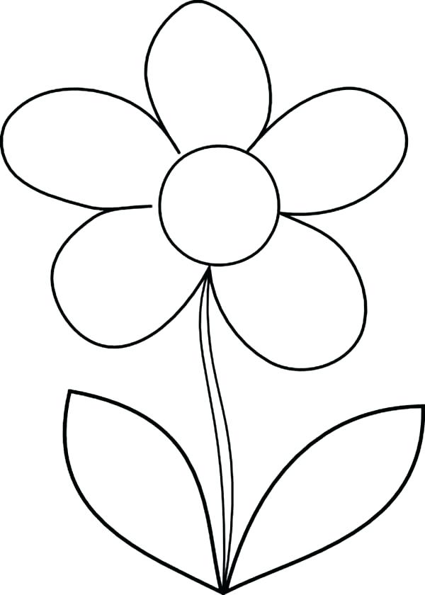 Daisy Outline Drawing | Free download on ClipArtMag