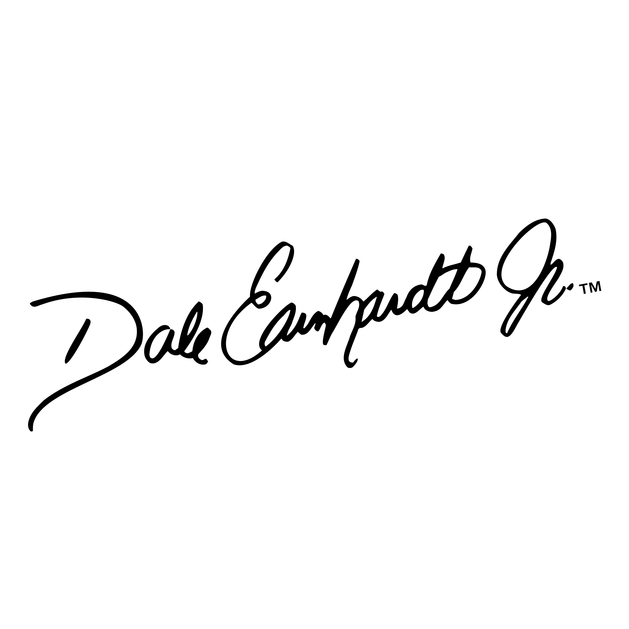 2400x2400 Dale Earnhardt Jr Signature Logo Png Transparent Vector