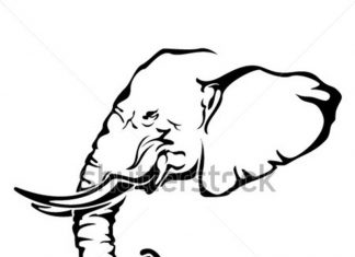 324x235 Elephant Tattoos