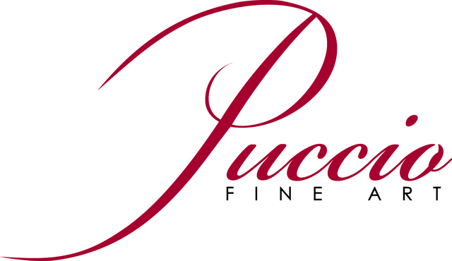 640x370 salvador elephants