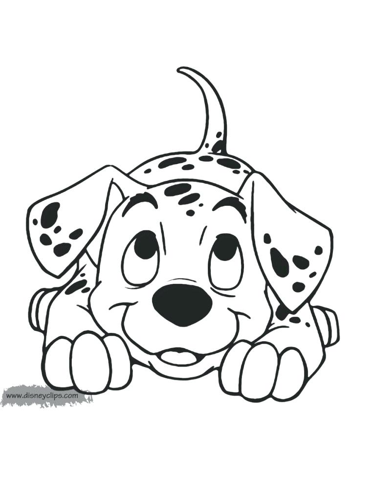 Dalmatian Dog Drawing
