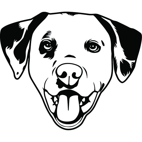 600x600 Dalmatian Smiling Paw Fireman Firefighting Dog Breed Etsy