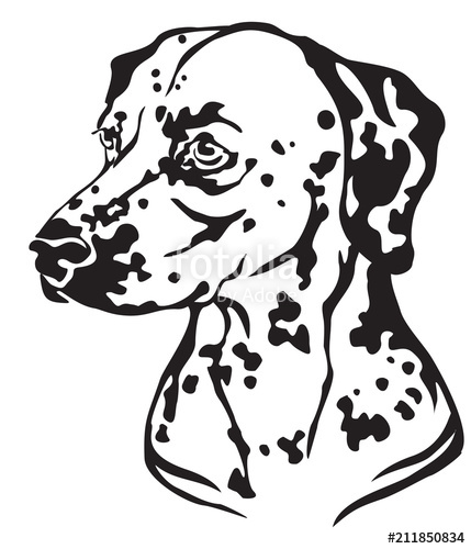 429x500 Decorative Portrait Of Dog Dalmatian Vector Illustration Stock