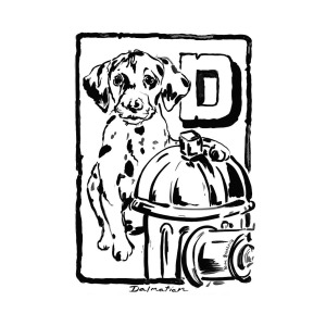 300x300 Dog Drawing Dalmatian Painting