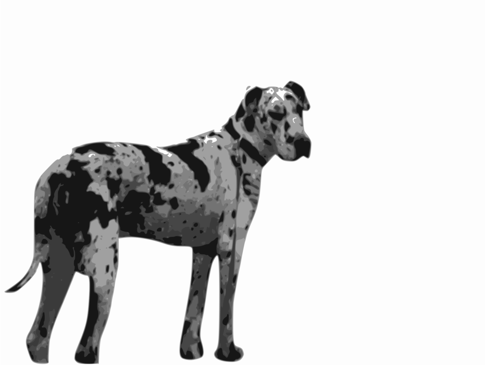 997x750 Great Dane Dalmatian Dog Puppy Dog Breed Drawing Cc0