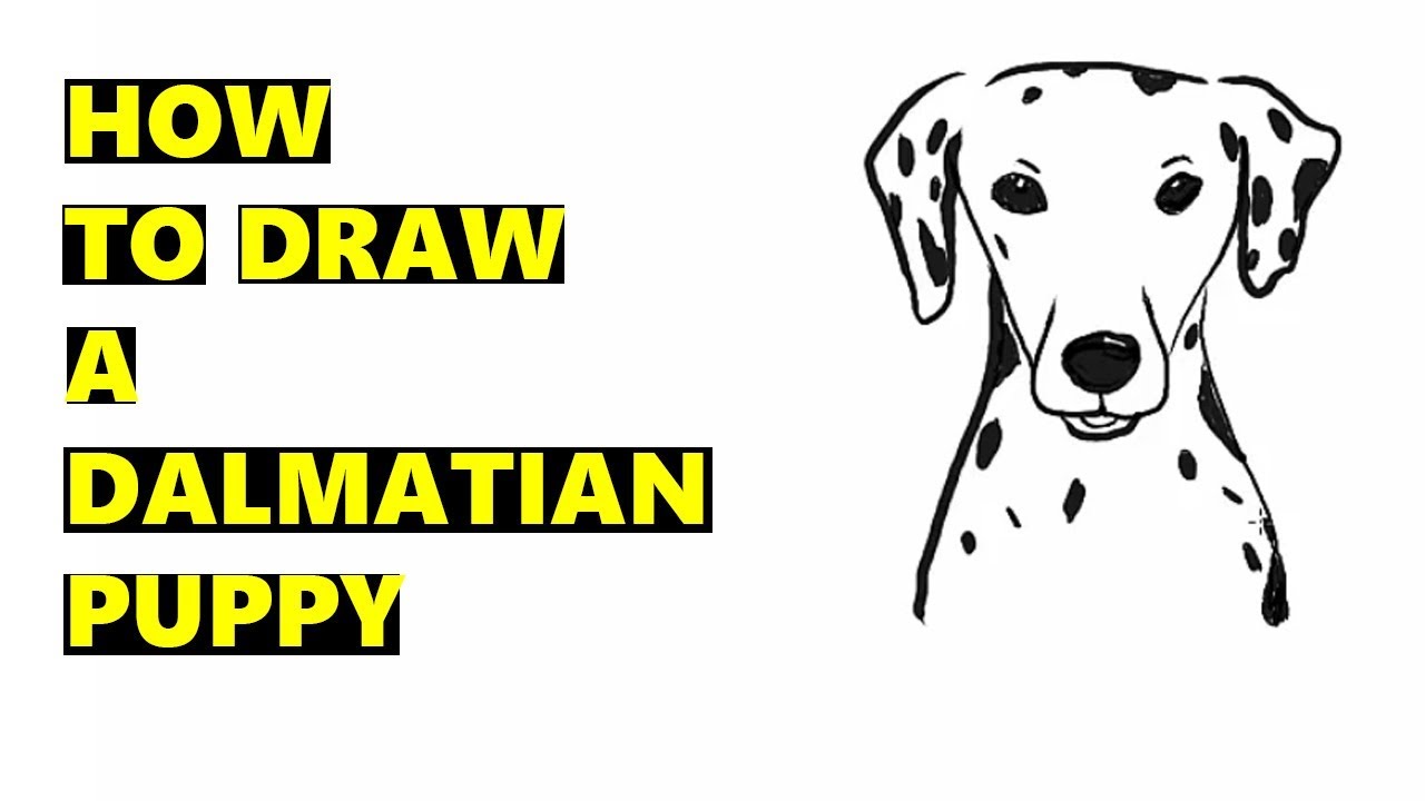 1280x720 How To Draw A Dalmatian Puppy For Kids