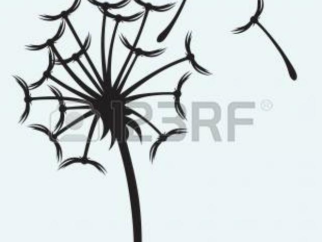 640x480 Dandelion Clipart Wind Drawing