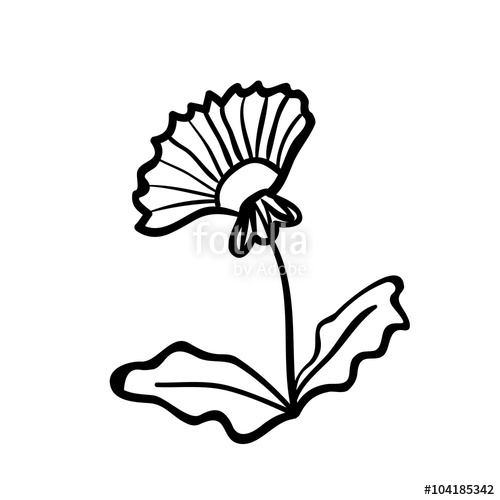 500x500 Dandelion Sketch Stock Image And Royalty Free Vector