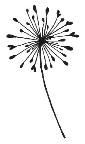 295x500 Everything Else Dandelion
