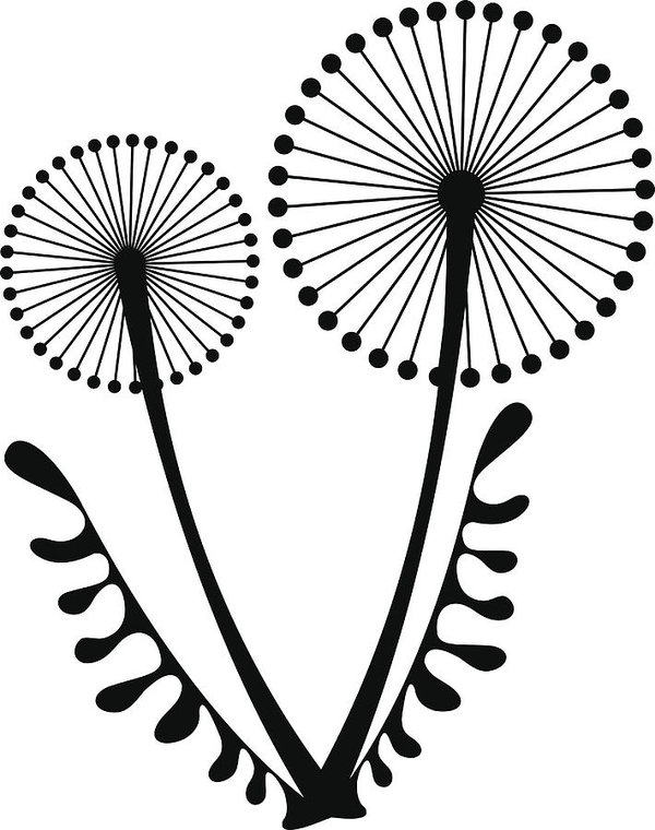 600x760 Vector Black And White Illustration Of The Dandelions And Leaves