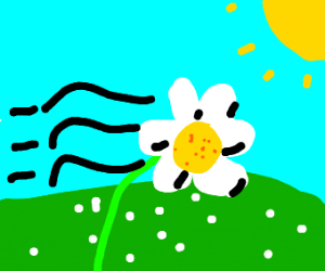 300x250 Dandelion Blowing In The Wind