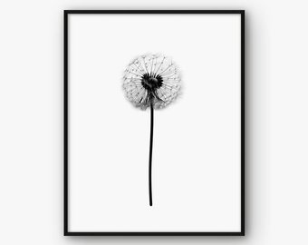 340x270 Dandelion Wall Art Etsy