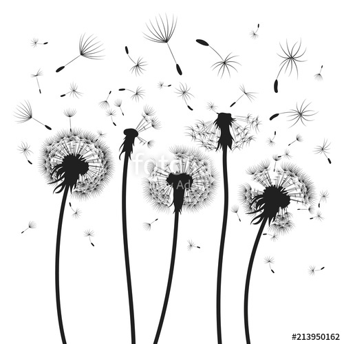 500x500 Set Of Dandelions Collection Of Stylized Dandelions Decorative