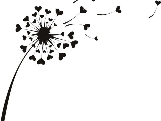 640x480 Drawn Dandelion