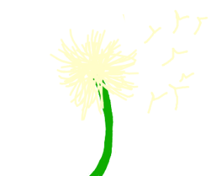 300x250 huge collection of 'dandelion puff drawing' download more than