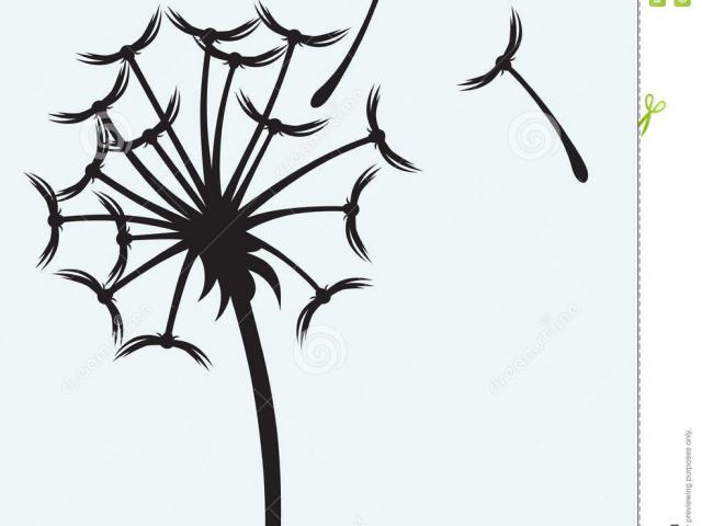 Dandelion Drawing | Free download on ClipArtMag