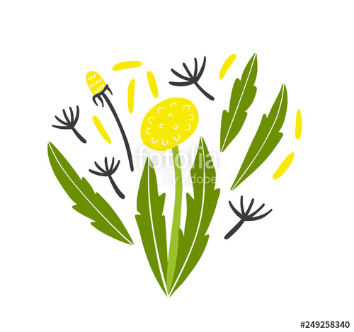 500x469 Dandelion Flower, Leaves And Seeds In Heart Shape Vector Print