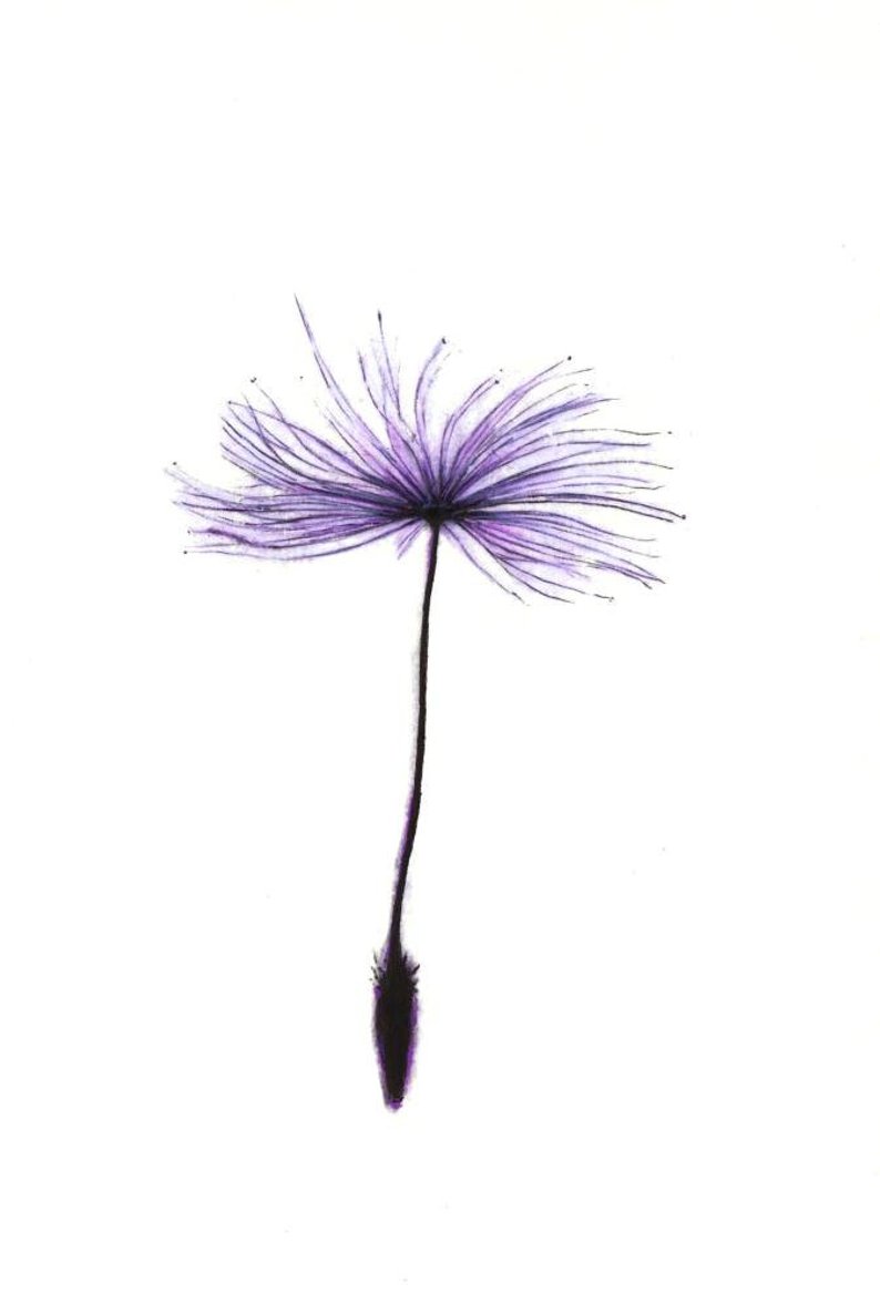 794x1178 Dandelion Seed Art Print Of An Original Drawing Available Etsy