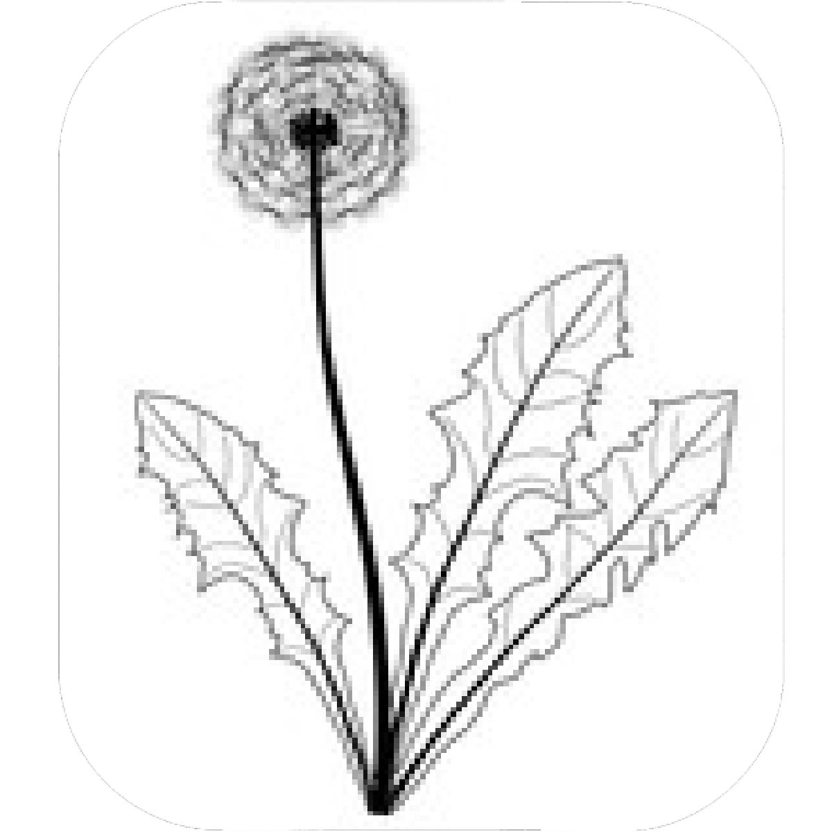 1200x1200 Designs Mein Mousepad Design Mousepad Selbst Designen