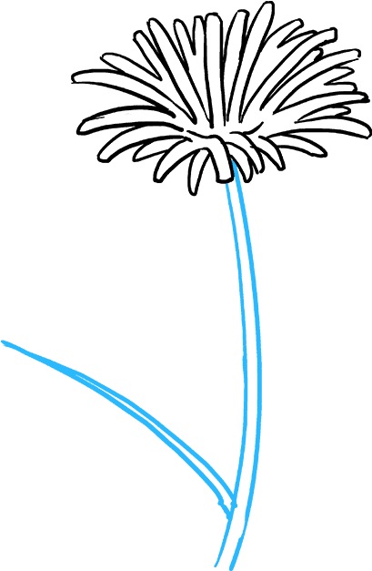 409x627 Download How To Draw Dandelion