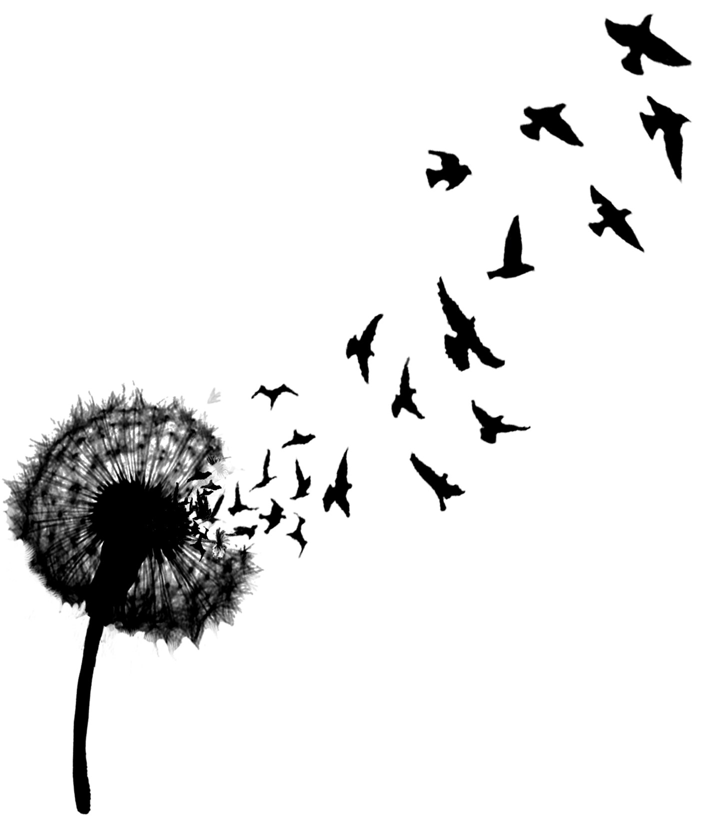1405x1640 Drawing Dandelion Tattoo Bird