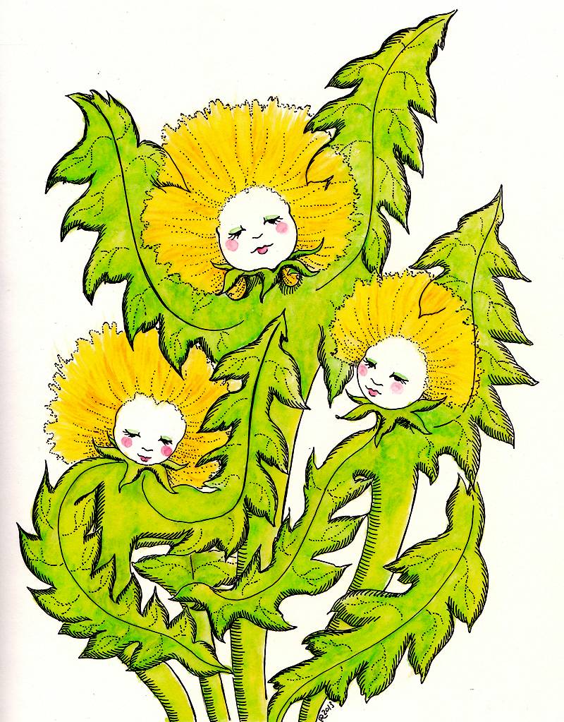 800x1023 The World's Best Photos Of Dandelion And Drawing