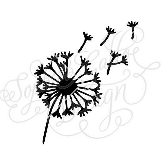 570x570 Dandelion Flower Dxf Png Digital Download Silhouette Etsy