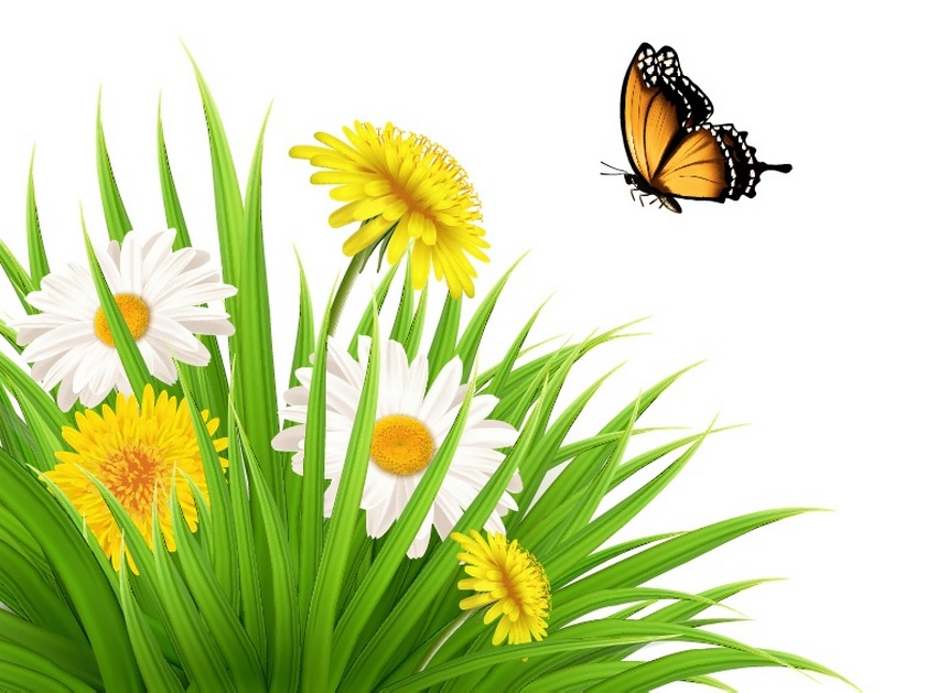 850x629 How To Draw A Nature Scene With Dandelions And A Butterfly