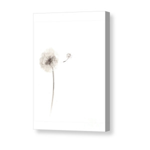 300x300 Watercolor Flower Drawing Minimalist Painting Canvas Print